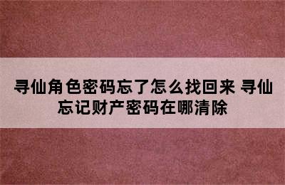 寻仙角色密码忘了怎么找回来 寻仙忘记财产密码在哪清除